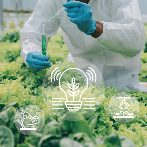 Istraživačke potrebe/projektne ideje