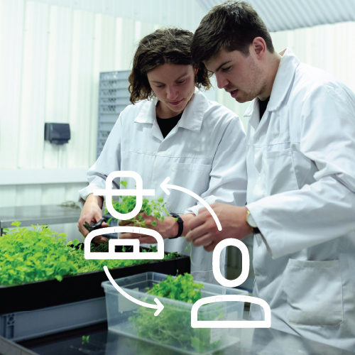 EIP operativne skupine