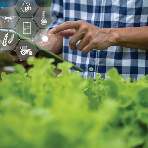 77.03. Potpora za EIP operativne skupine