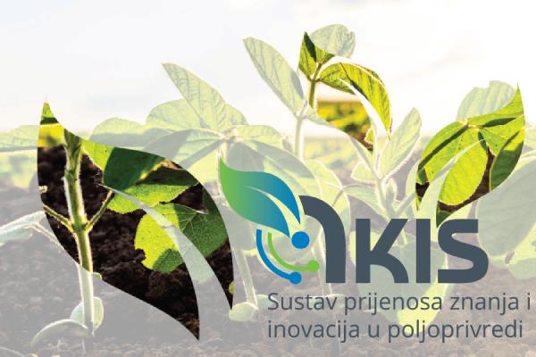 Projekt